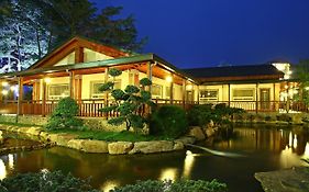 Flying Villa